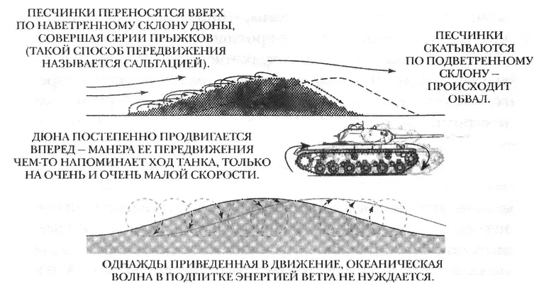 Песчаные и океанические полны распространяются совершенно разными способами - фото 64