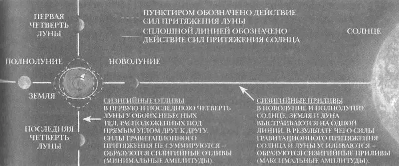 Положение Земли Солнца и Луны относительно друг друга во время сизигийных - фото 107