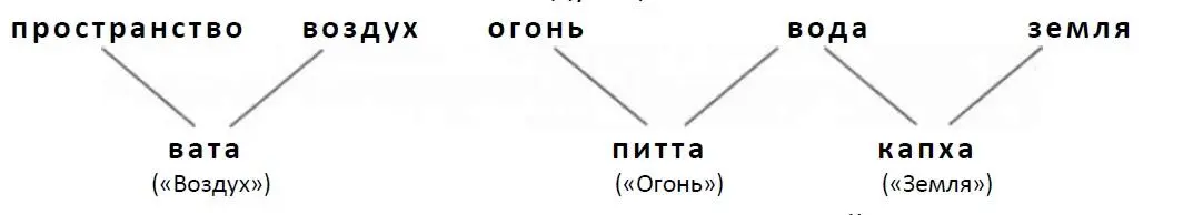 В каждом из нас три доши сочетаются в индивидуальной пропорции точно так же - фото 3