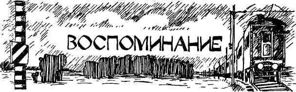 Мы стоим за палатками первого отряда Она ковыряет носком ботинка землю В - фото 11