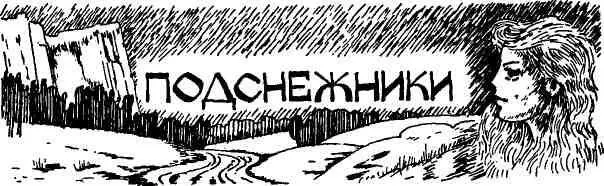 Остатки снега в горах сиреневый березняк частые повороты и размытая дорога - фото 25