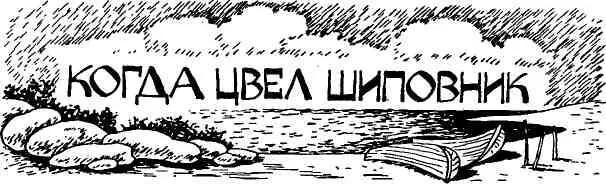 Тихая белая ночь мягко охватывала море песчаный берег ветхий домик вдали с - фото 28