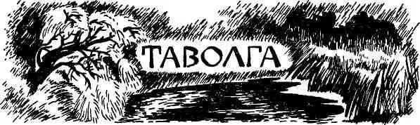 Наступила городская весна затяжная и холодная с мелкими дождями грязным - фото 31