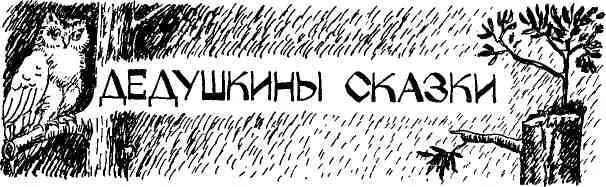 Ставим баню Нижние венцы смолим Смола кипит в старом тазу Смотрю на пузыри и - фото 4