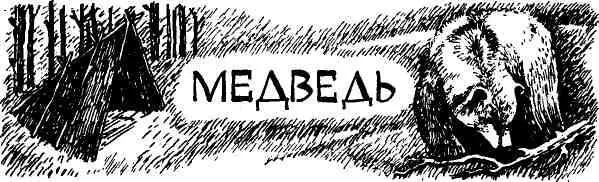 В то лето когда я должен был идти в первый класс мы ездили за малиной Кроме - фото 40