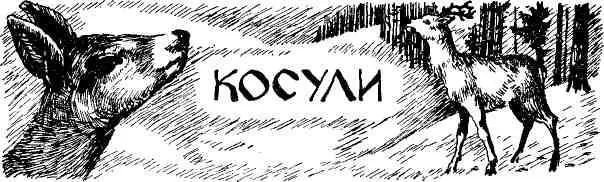 Когда отец ушел на фронт мне исполнилось двенадцать лет Мы попрежнему жили в - фото 51