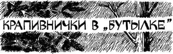 Старый друг лучше новых двух Так говорится и это верно Встреча с давним - фото 59