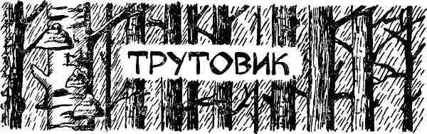 После листопада меня перестало тянуть в лес словно боялся взглянуть на то что - фото 66