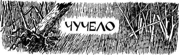 Егор лежал на кровати глядел в потолок на изломанную тень от глухариного - фото 78