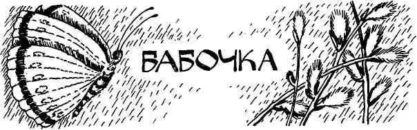 Ветер распахнул форточку и в комнату влетели мокрые листья два желтых один - фото 90