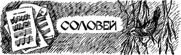Стою на берегу Ая Дождь шумит словно сыплется в воду зернистый озерный песок - фото 92