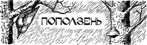 К охотничьей избушке добрались задолго до заката и решили пробежаться с - фото 96