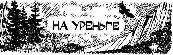 В газете промелькнуло сообщение что на Уреньге одном из отрогов Урала есть - фото 97