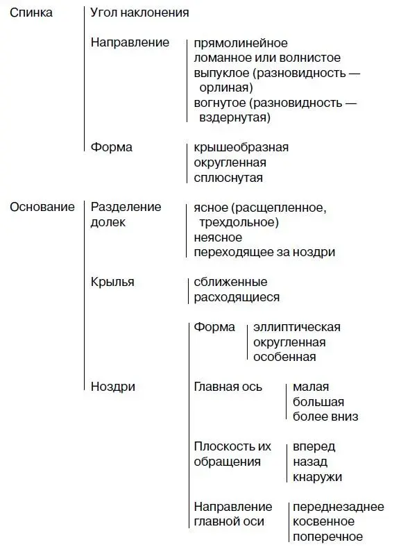 При помощи этой таблицы я мог классифицировать даже нос Тьебо старшего из - фото 5