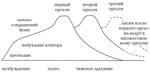 Диаграмма II показывающая стадии женского оргазма Возбуждение нарастает - фото 259