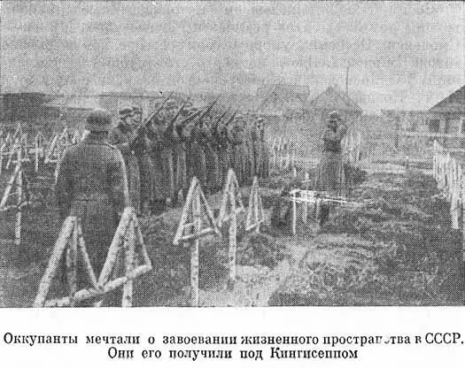 Фашистские танковые и моторизованные дивизии группы армий Центр рвались к - фото 30