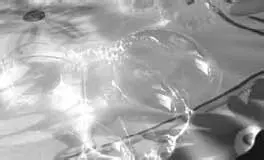 На фотографии пузыри на тарелке Видно что в отражениях блестит радуга - фото 38