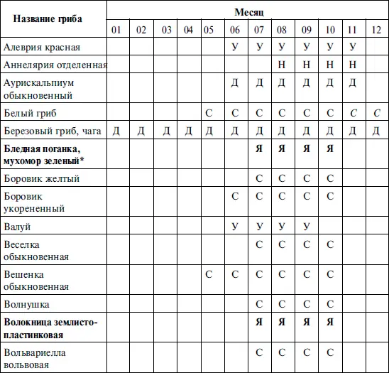 Справочник грибника - фото 6
