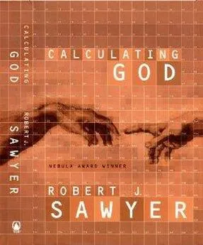 Роберт Сойер - Вычисление Бога