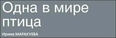 Она была пепельнорозовой его мечта Она струилась по дереву манго огибая его - фото 20