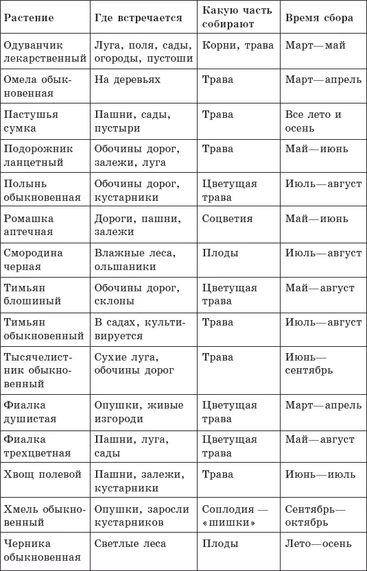 На вкус и цвет товарищей нет Чтобы пить травяной чай было не только полезно - фото 6
