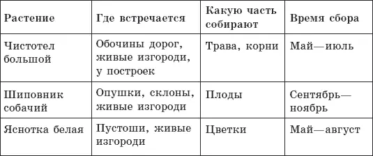 На вкус и цвет товарищей нет Чтобы пить травяной чай было не только полезно - фото 7
