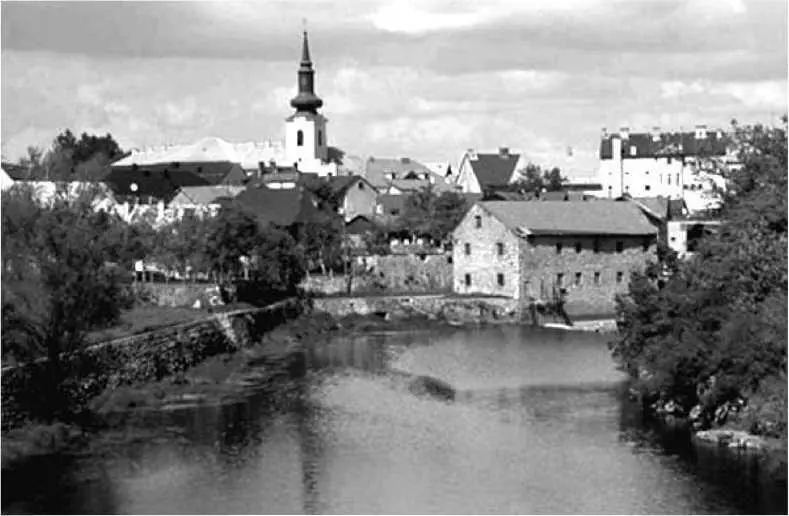 Городок Госпик куда переехала семья Тесла После того как мы поселились в - фото 17