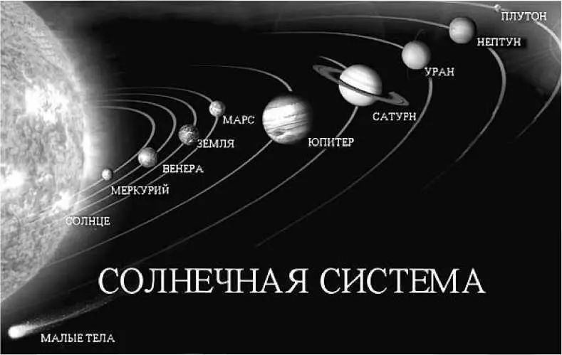 Действие даже самого крохотного существа приводит к изменениям во всей - фото 26
