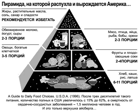 Фундамент абсолютного здоровья С момента зачатия и до последнего вздоха - фото 1