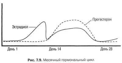 После 30 и 40 лет когда женщины входят в перименопаузу гормональная система - фото 31