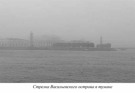 В настоящее время трудно определить состояние вопроса об охране окружающей - фото 58