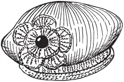 Рисунок 1 Берет Берет с цветком возраст 46 лет Берет выполненный лицевой - фото 2