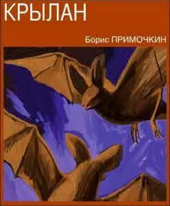 Пятиэтажка выглядела обшарпано и поношено как и положено пятиэтажке - фото 32