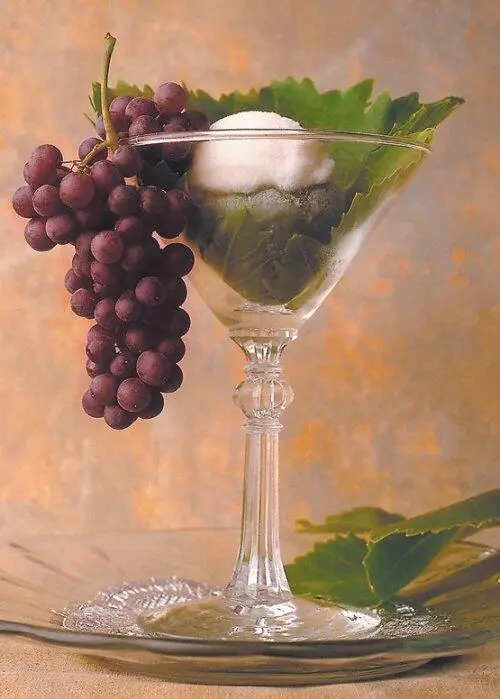 Мороженое с вином Марсала Десерт из мороженого с персиками Английский - фото 14