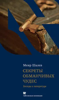 Меир Шалев - Секреты обманчивых чудес. Беседы о литературе