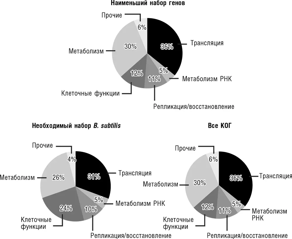 Рис 311 Распределение числа генов по биологическим функциям в минимальном - фото 20