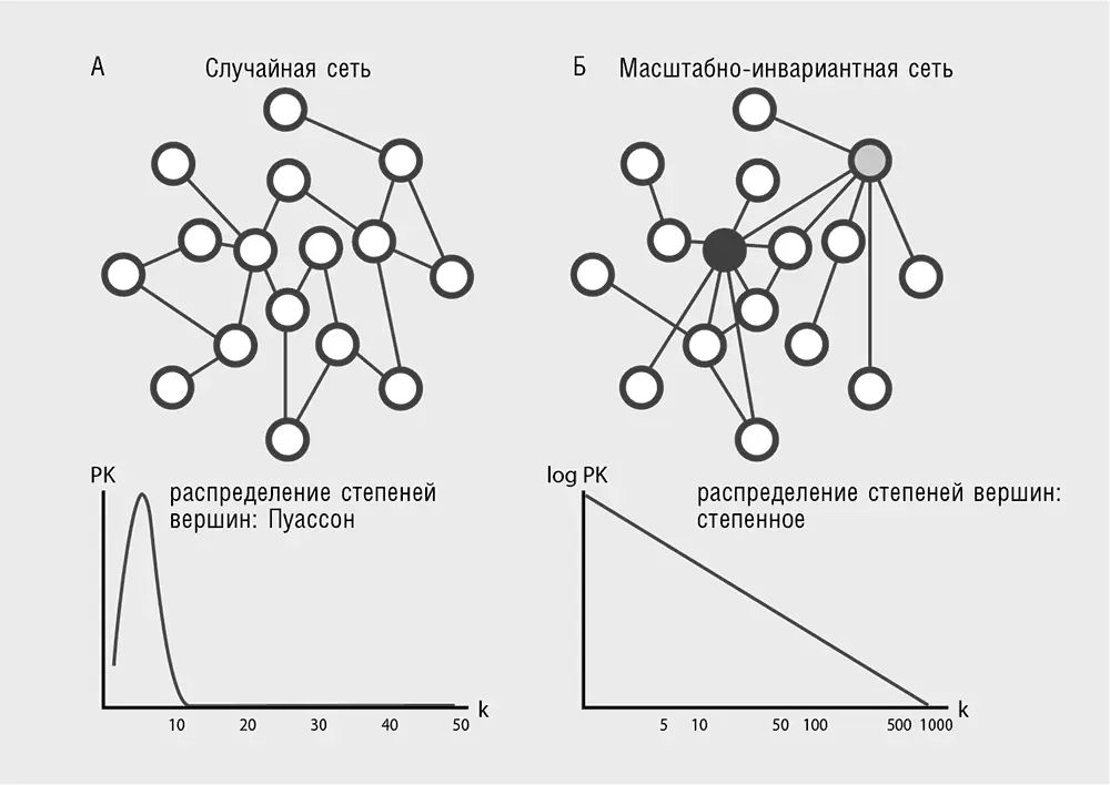 Рис 49 Предпочтительное присоединение в эволюции биологических сетей а - фото 37