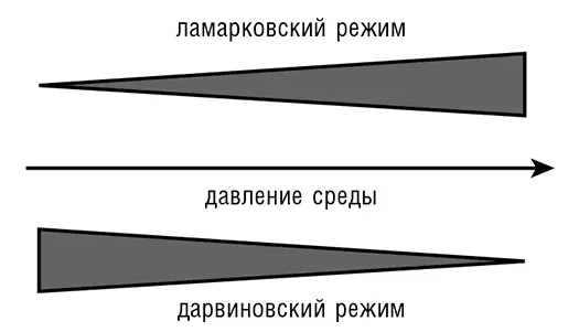 Рис 93 Давление среды и переход от дарвиновского к ламарковскому режиму - фото 84