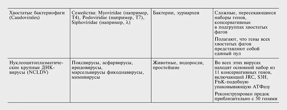 Сокращения JRC белок капсида с укладкой типа рулета LTR long terminal - фото 89
