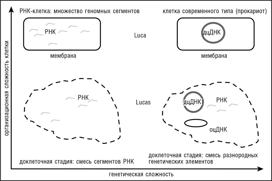 Рис 111 Пространство логических возможностей для LUCAS генетически - фото 96