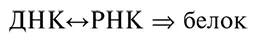 Очевидно размышляя о происхождении первых живых форм мы оказываемся перед - фото 103