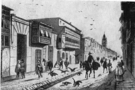 Уличная сцена в Лиме 1800 г Карта путешествий Гумбольдта по Южной Америке - фото 31