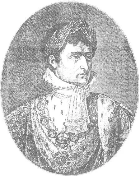 Наполеон I император В 1808 году массовое восстание низвергло Годоя - фото 35