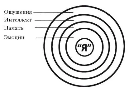 Человеческое существо словно жемчужина состоит из многих неповторимых слоев - фото 59