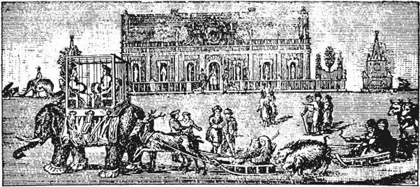Маскарад у Ледяного дома выстроенного в 1740 году в Петербурге В описании - фото 12