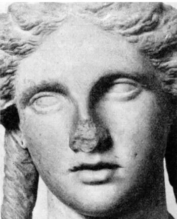 Рис 246 Богиня 4 векдо н э музей Берлин Рис 247 Соня Гени Шерл В - фото 255