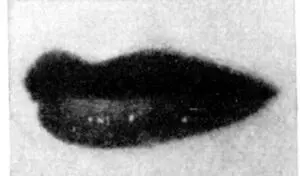 d е f Рис 248 d е Загримированные рты дам из общества Рисунок f - фото 260