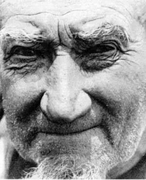 Рис 257 Лукавый старик Рис 254257 Радостные натуры Когда выше я говорил - фото 271