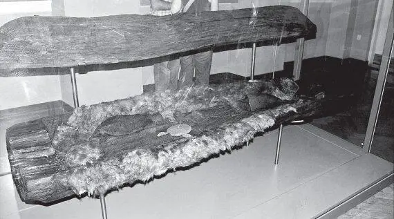 Рис 712 Старинное захоронение в деревянной колоде Дания Копенгаген - фото 289