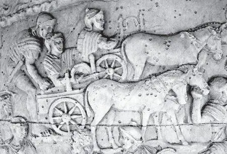 Рис 834 Каверны на рельефах колонны Траяна Взято из 1463N1 Стоит также - фото 353